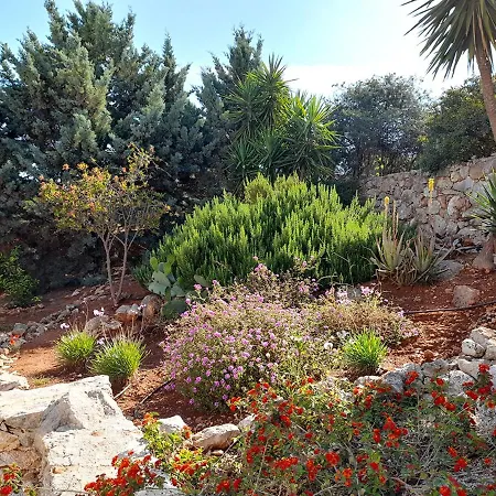 Villa Pegase Chania (Crete)